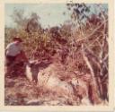 Doug Keeble from Cooktown pictured in 1973 with the just re-discovered MAY-BELLE, on the dried-…