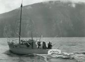 JACARANDA fishing in the early 1960s