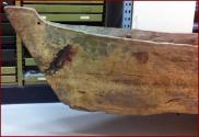 profile of an end of the dugout canoe
