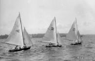 Three VJs racing off Vaucluse on Sydney Harbour, date unknown