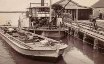 PS TARELLA and the barge Cobar