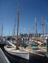 CLARA at the 2015 Australian Wooden Boat Festival 