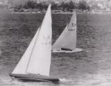 PAM and BARRENJOEY racing on Sydney Harbour