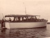 WHITE CREST as launched