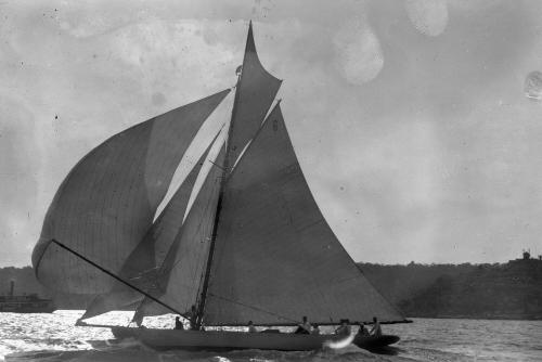 RAWHITI on Sydney Harbour  in the early 1920s, racing downwind under maximum sail area.
