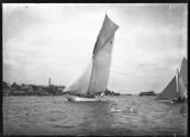 RAWHITI  on Sydney Harbour  about 1906.