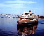 LADY DENMAN in the colourful livery of Sydney Ferries during the 1960s.