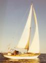 SAFARI in a trial sail off Southport, Queensland,  early in 1960.