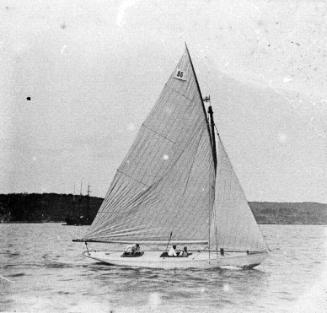 BRONZEWING, a 2&1/2 rater on Sydney Harbour in 1892. Note the lug rig which helped give the yac…