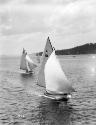 JUNE BIRD racing on Sydney Harbour, probably in the 1920s