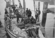 ANNIKI coming alongside the jetty at Thursday Island in the 1960s with a huge load of shell.