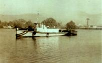 HEBE towing  a line of barges on the Clarence River NSW, probably in the late 1950s.