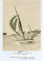 DOLPHIN in its heyday, under spinnaker and racing for Queensland.