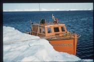 MACPHERSON ROBERTSON tied up to an ice flow in the Antarctic in the late 1950s