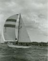 RONITA sailing on Sydney Harbour in the early 1960s