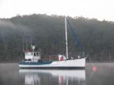 RIAWE in the early morning mist in 2009