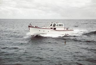 DAMPIER undergoing sea trials.