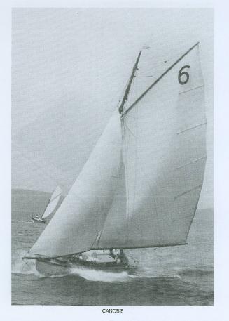 CANOBIE in the early period of in racing career in Hobart