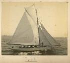 THISTLE sailing on Port Phillip in the late 1890s